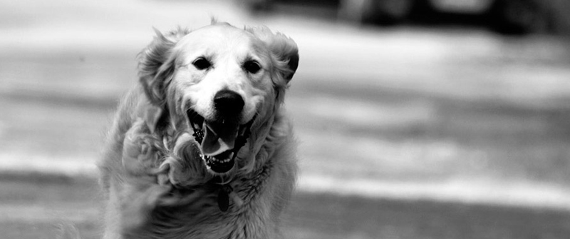 哪里价格最低的DDOS攻击器