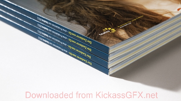 ip攻击器网页版ddos